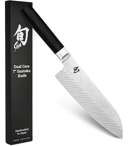 Amazon.com: Shun Dual Core 6